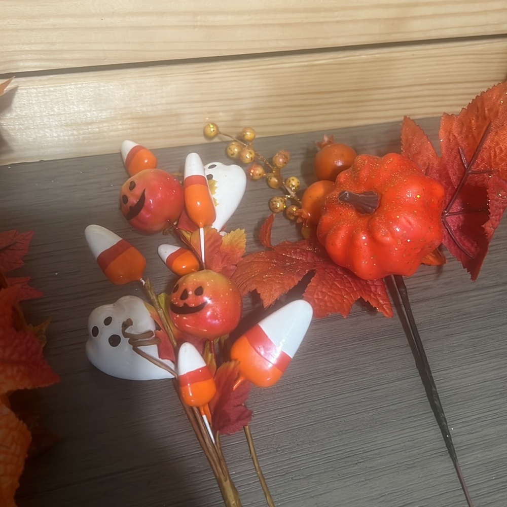 New Fall assorted items - Picture 6 of 7
